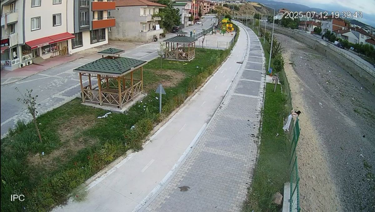 tokatta kediyi kurtarmak isterken olumden dondu 1 quFXcFAB