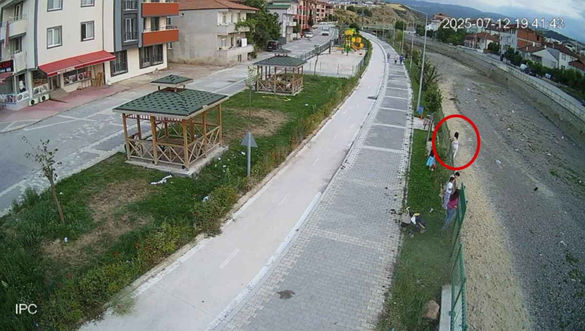 tokatta kediyi kurtarmak isterken olumden dondu 2 tL7zRBKR