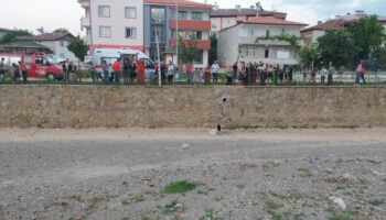 tokatta kediyi kurtarmak isterken olumden dondu abyFCUcJ