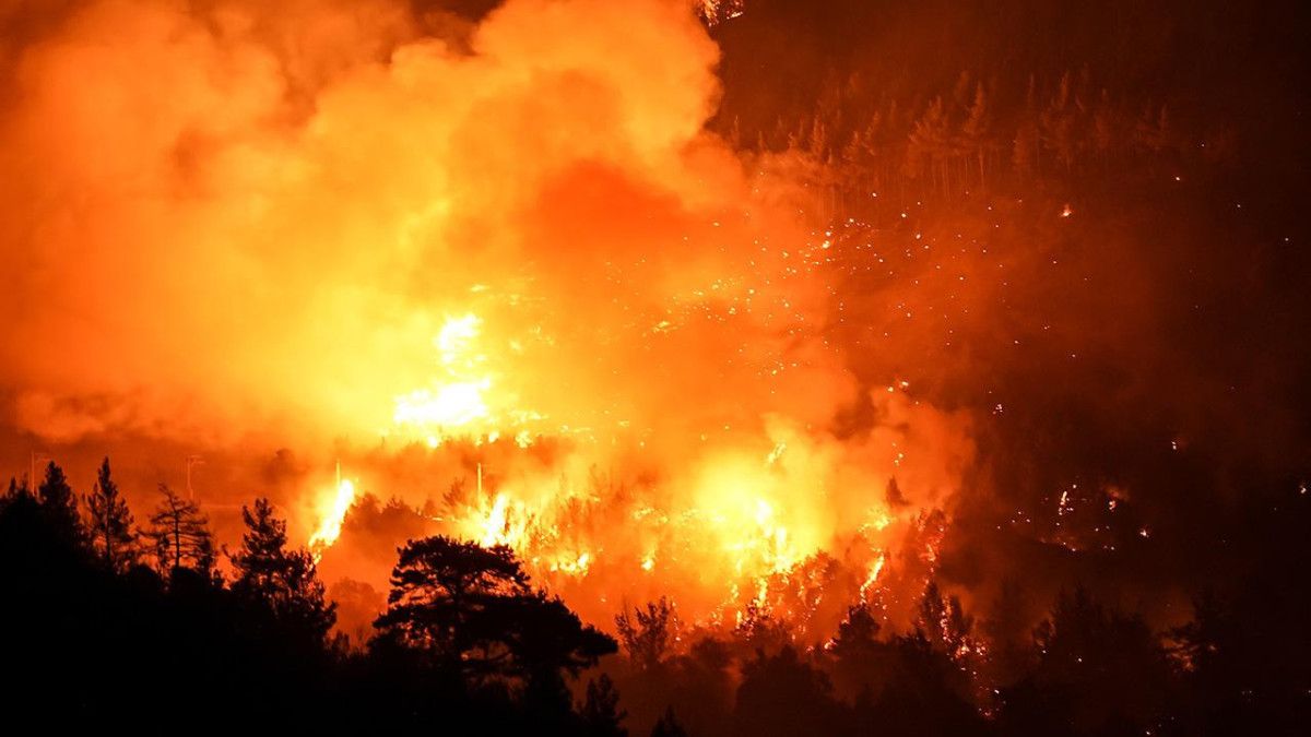 tum turkiye icin uyari yedi gun boyunca yangin riski cok yuksek 0 9ne4yphD