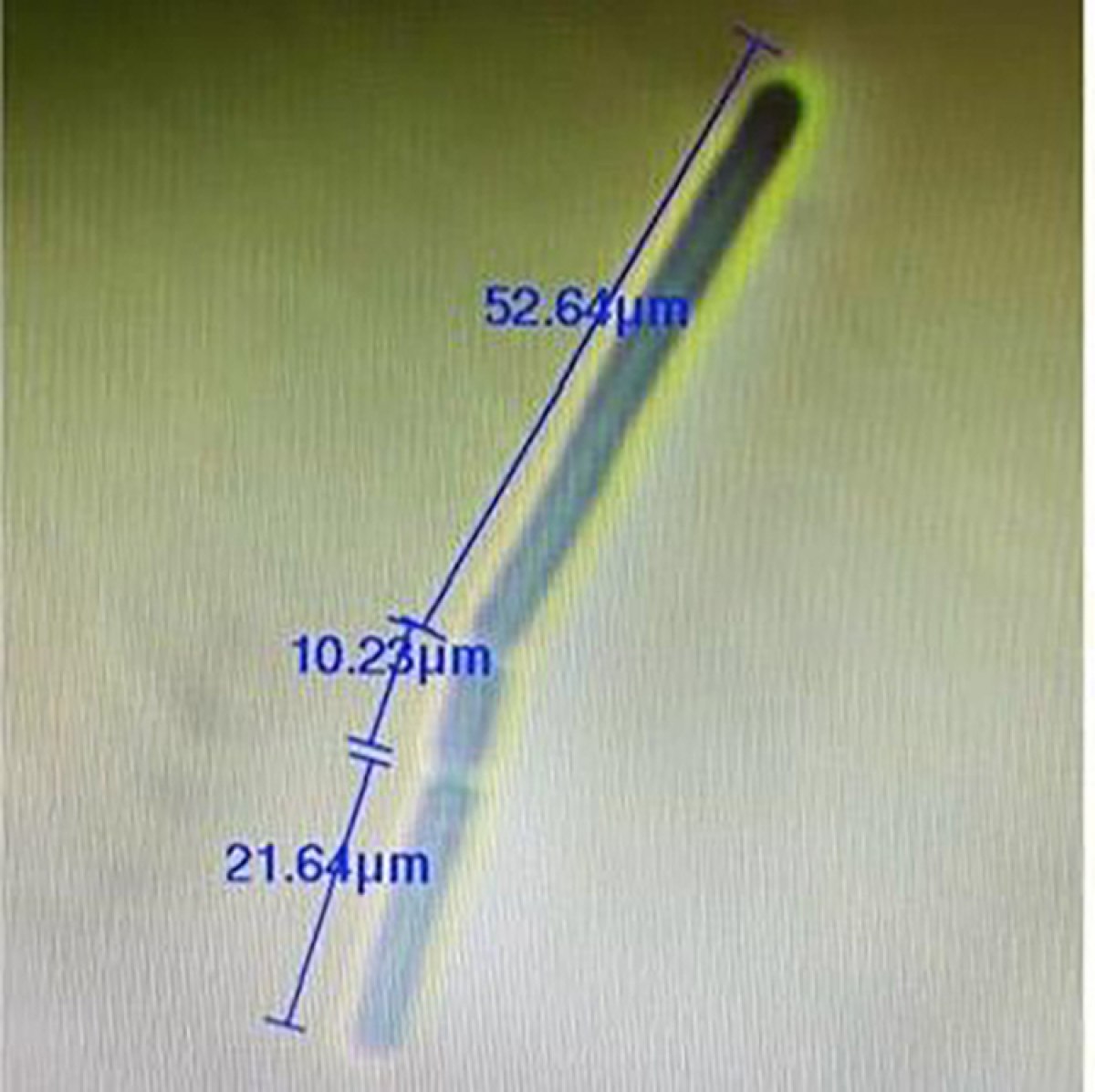 turk bilim insanlari ucak yakitinda yeni bir bakteri kesfetti 2 APpnsMVn