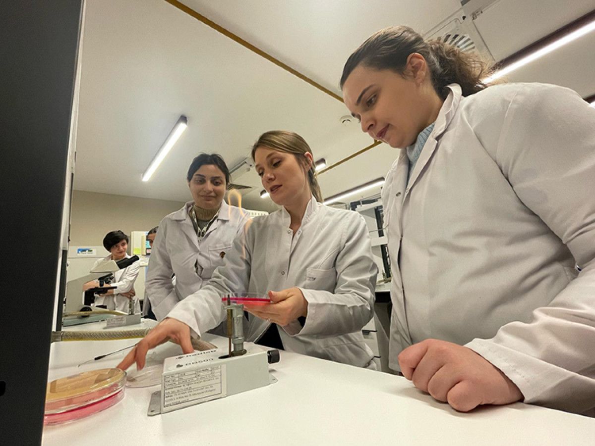 turk bilim insanlari ucak yakitinda yeni bir bakteri kesfetti 3