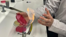 turk bilim insanlari ucak yakitinda yeni bir bakteri kesfetti wYSLrj2A