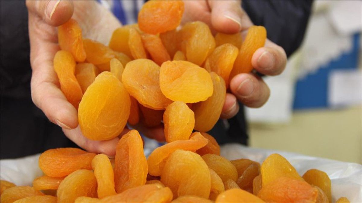 turkiyeden 6 ayda 151 milyon dolarlik kuru kayisi ihrac edildi 0 6jm3bASQ