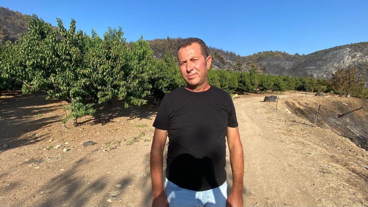 turkiyenin cigerlerini yakan yanginda mucize yemyesil kaldi 4 g1W7KWYE