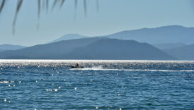 turkiyenin cittaslow 3 sehri x2fayf1w