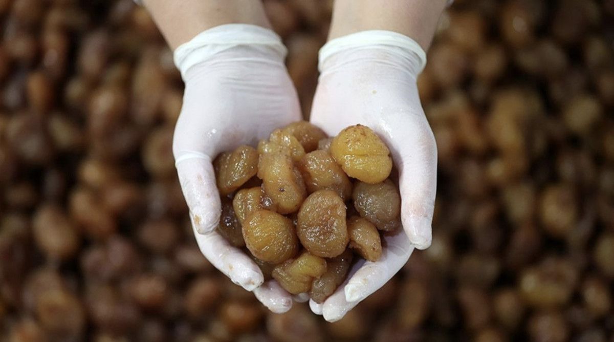 turkiyenin iki urunu daha ab tescili yolunda 0 pUBcIqIh