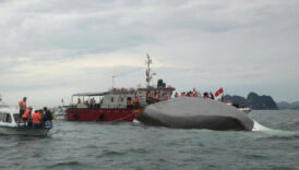 vietnamda felaket anlari teknenin alabora olmasi sonucu 37 kisi oldu Nl5JzIm2