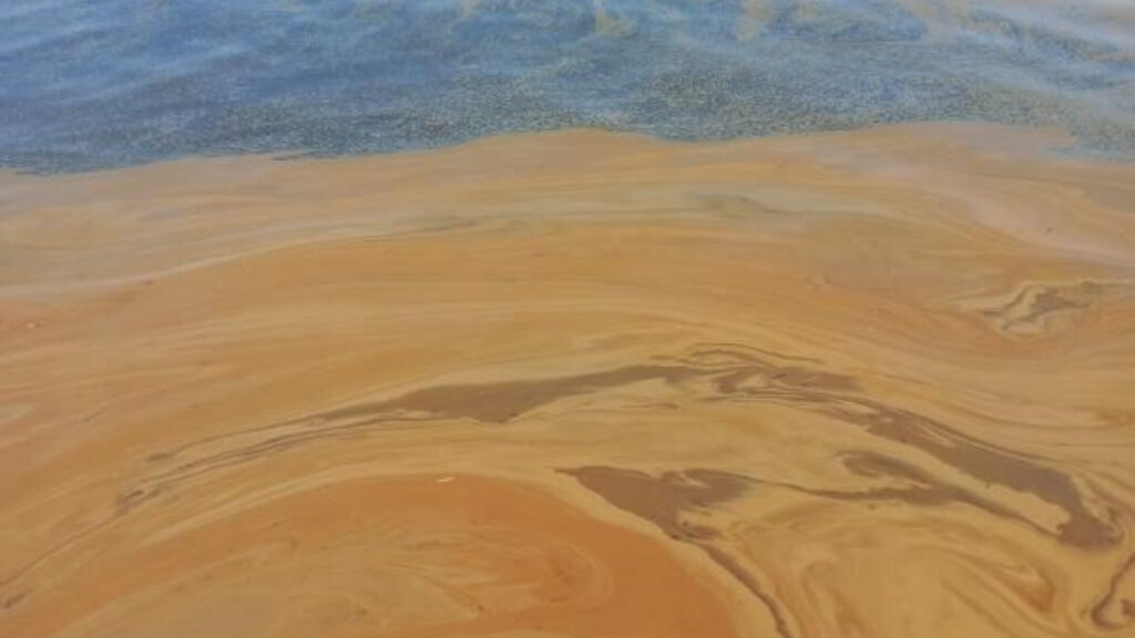 yalovada denize atik yag dokuldu fabrika hakkinda inceleme baslatildi 6ZcrJILC