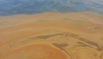 yalovada denize atik yag dokuldu fabrika hakkinda inceleme baslatildi 6ZcrJILC