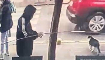 yalovada yere dusurulen dovizi alan supheli yakalandi UtEwwGCA