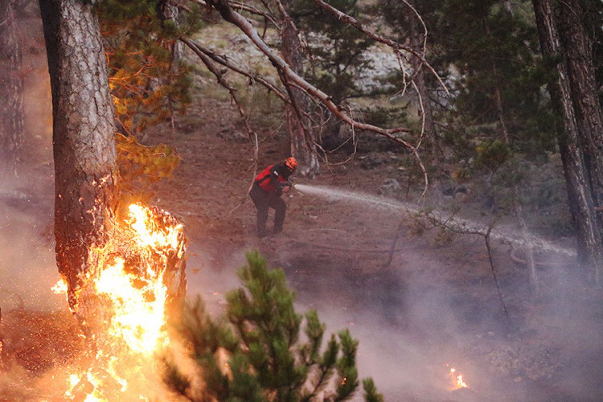 yanginlardan etkilenen hanelere 10 milyon lira kaynak 0 rluqS5CM