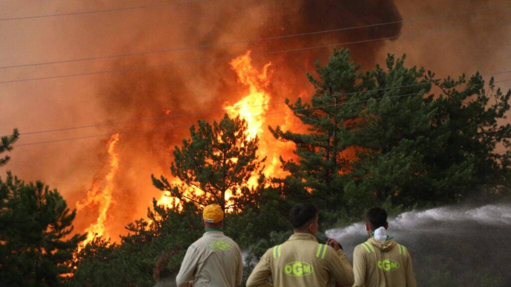 yurt genelinde orman yanginlariyla mucadelede son durum 8EB2n2b2