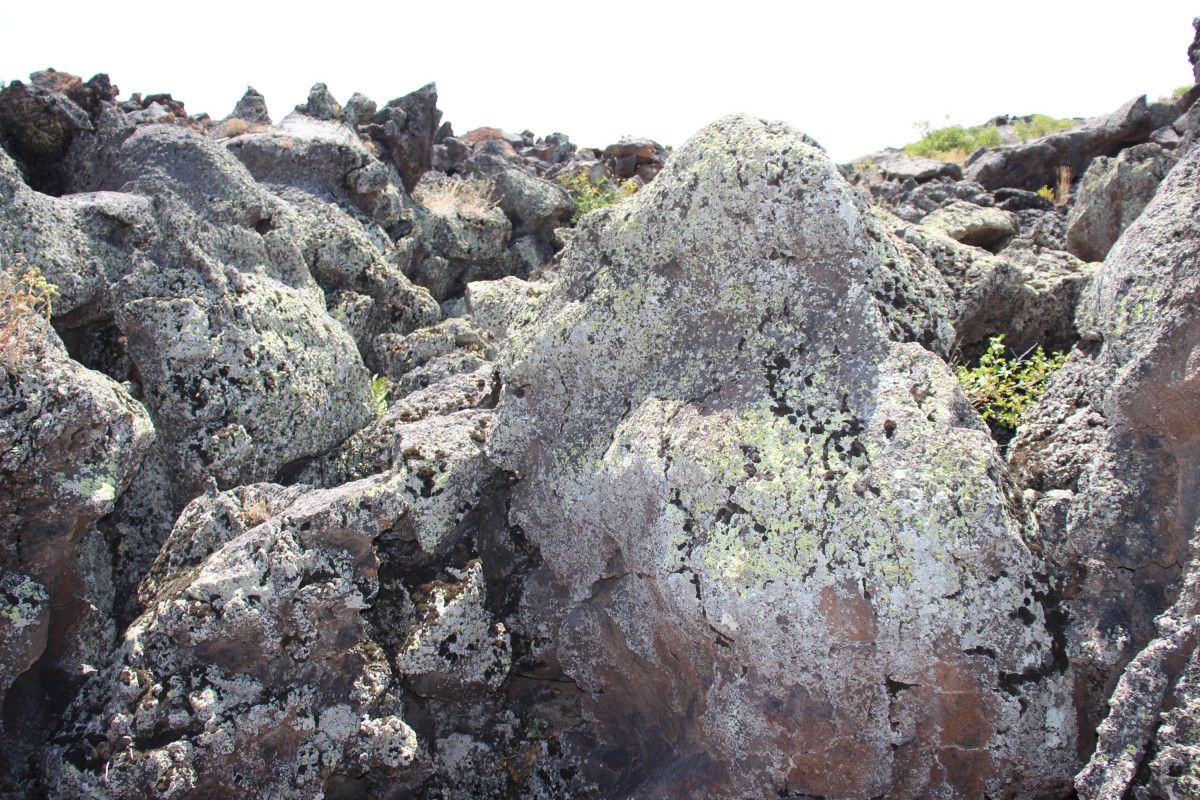 1855 yilinda tendurek dagindan akan lavlarin yuttugu koyler arastiriliyor 9 W5SPEwEc