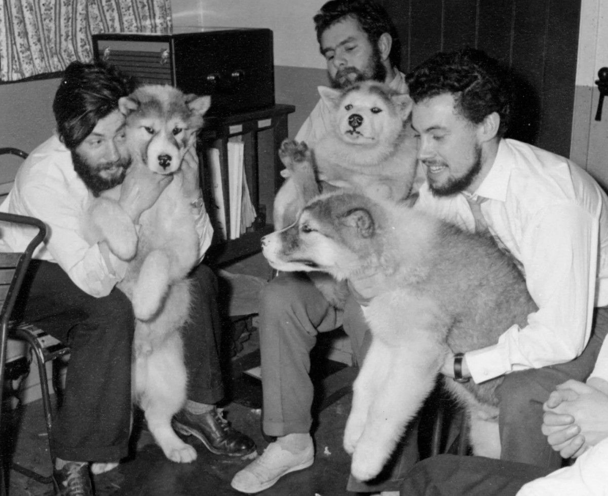 66 yil once kaybolan ingilizin cesedi antarktikada bulundu 0 6phtz4KW