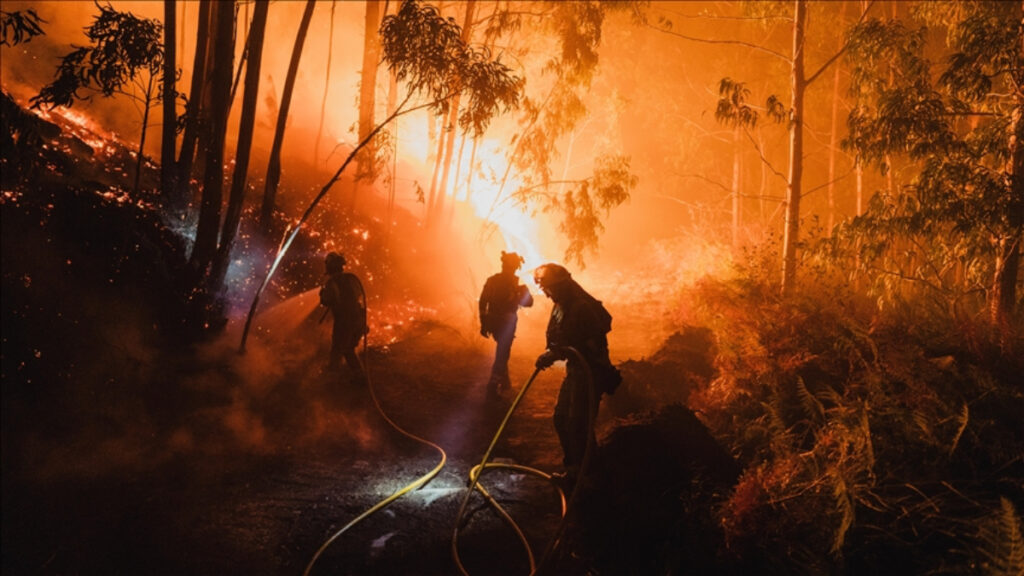 ab yakin tarihinin en buyuk orman yanginlari sezonunu yasadi HKMnu6xP