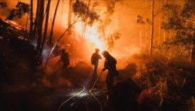 ab yakin tarihinin en buyuk orman yanginlari sezonunu yasadi HKMnu6xP