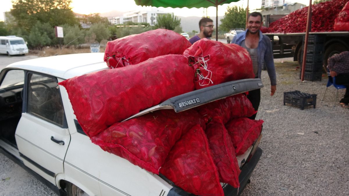 Adana'da çiftçilerin zorlu biber mesaisi 3 adanada ciftcilerin zorlu biber mesaisi 2