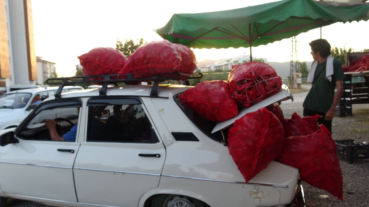 Adana'da çiftçilerin zorlu biber mesaisi 5 adanada ciftcilerin zorlu biber mesaisi 4 pqJeRyjF