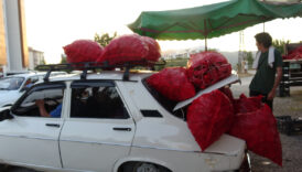 adanada ciftcilerin zorlu biber mesaisi 46D15SGO