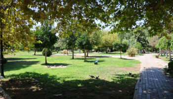 adanada kavurucu alarm arac termometreleri 51 dereceyi gosterdi 1gi8isry