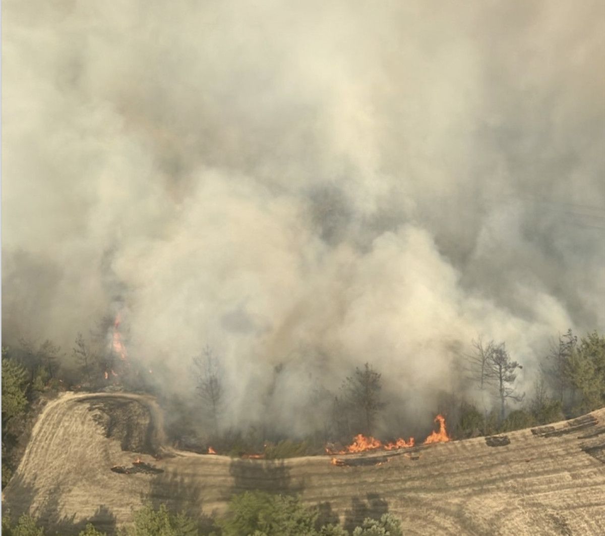 adanada orman yangini mudahale suruyor 0 EqYEitFJ