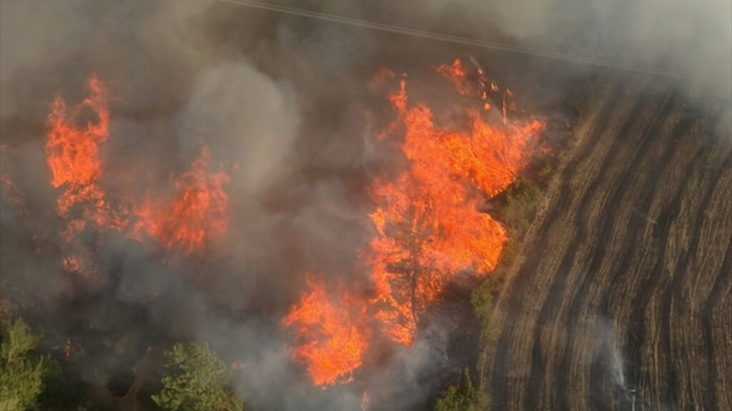 adanada orman yangini mudahale suruyor 5rpsOvab