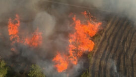 adanada orman yangini mudahale suruyor 5rpsOvab