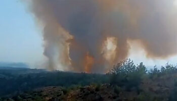 adanadaki orman yangini kontrol altinda ZwkZUDKt