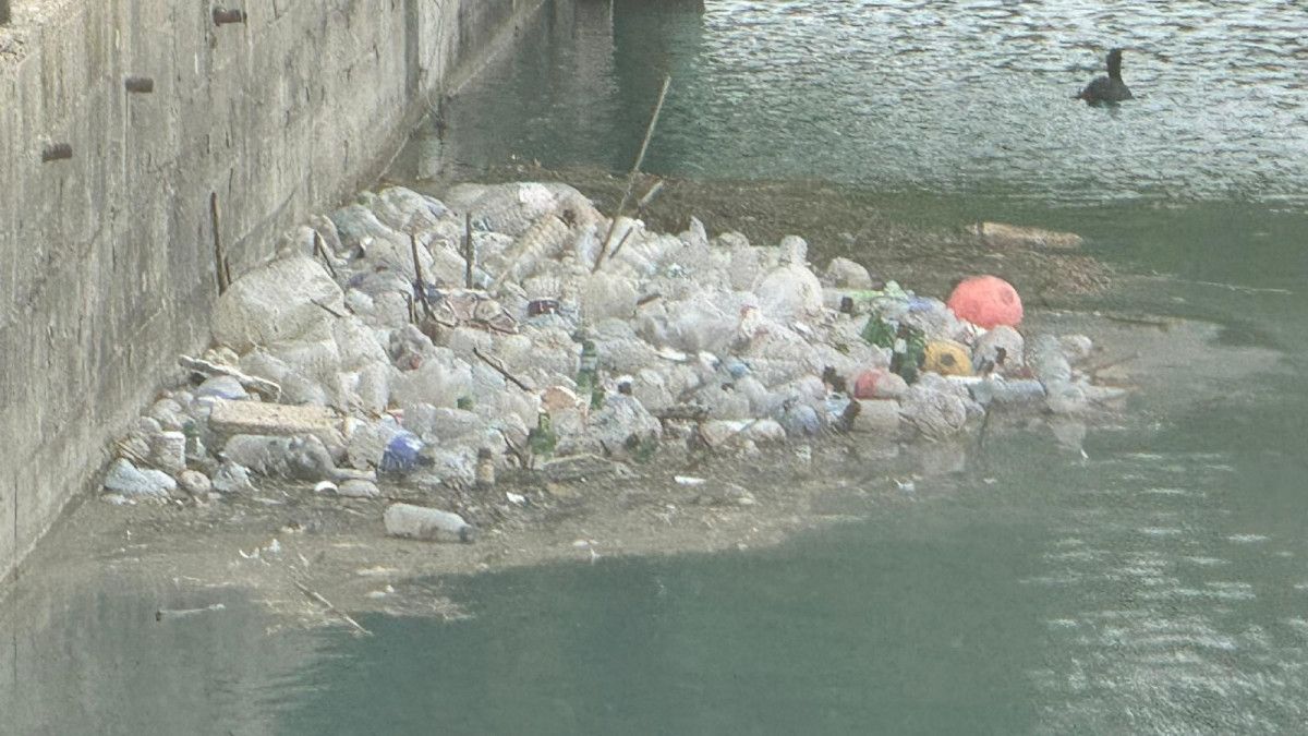 adananin seyhan nehri yosun akinina ugradi nehrin kenari coplerle doldu 0 jZJO3M6b