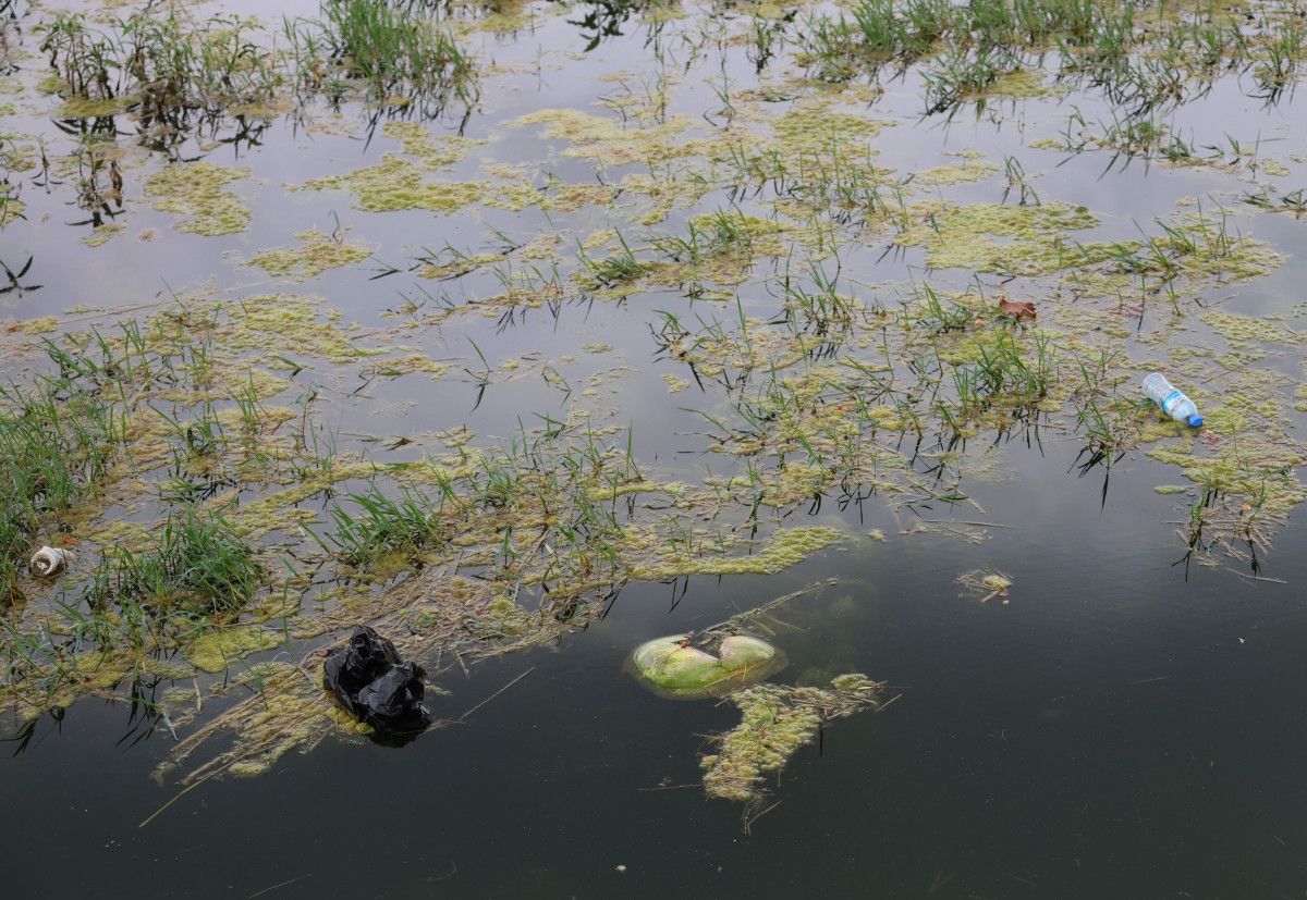 adananin seyhan nehri yosun akinina ugradi nehrin kenari coplerle doldu 3 3vXXPvQs