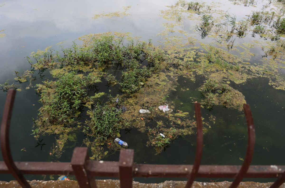 adananin seyhan nehri yosun akinina ugradi nehrin kenari coplerle doldu 4 kmj1nZGH