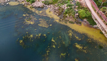 adananin seyhan nehri yosun akinina ugradi nehrin kenari coplerle doldu OFlUW5VT