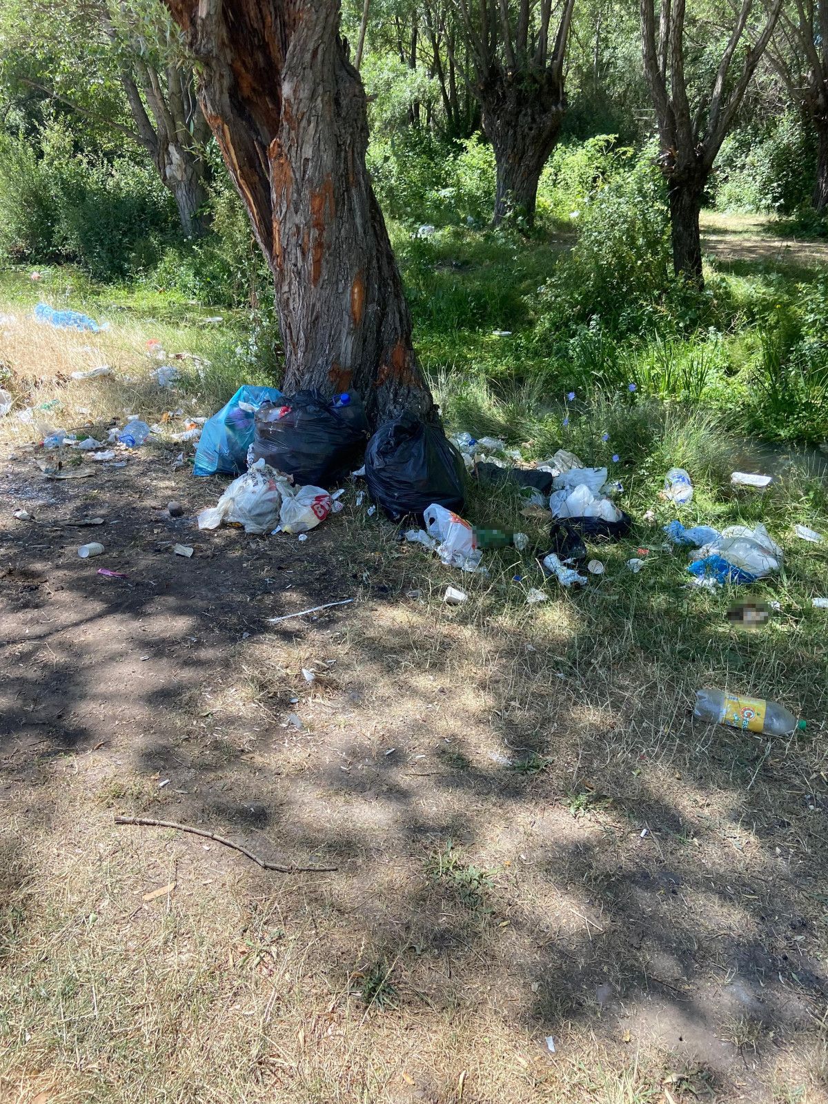 ankara kurtbogazi barajina baglanan dereler copluge dondu 0 nq8C6zSN