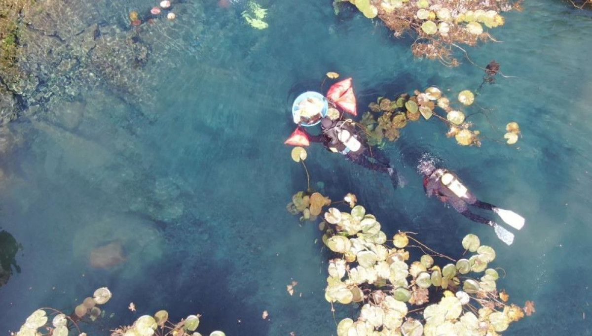 antalya korfezinde cevre felaketi yakin kirlilik gozle gorulur hale geldi 11 2UyyhJIK