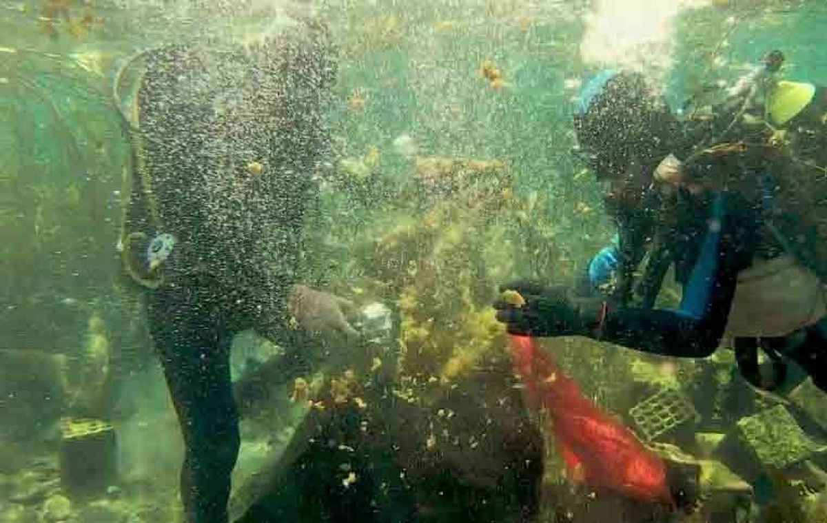 antalya korfezinde cevre felaketi yakin kirlilik gozle gorulur hale geldi 2 4ljRpNhy