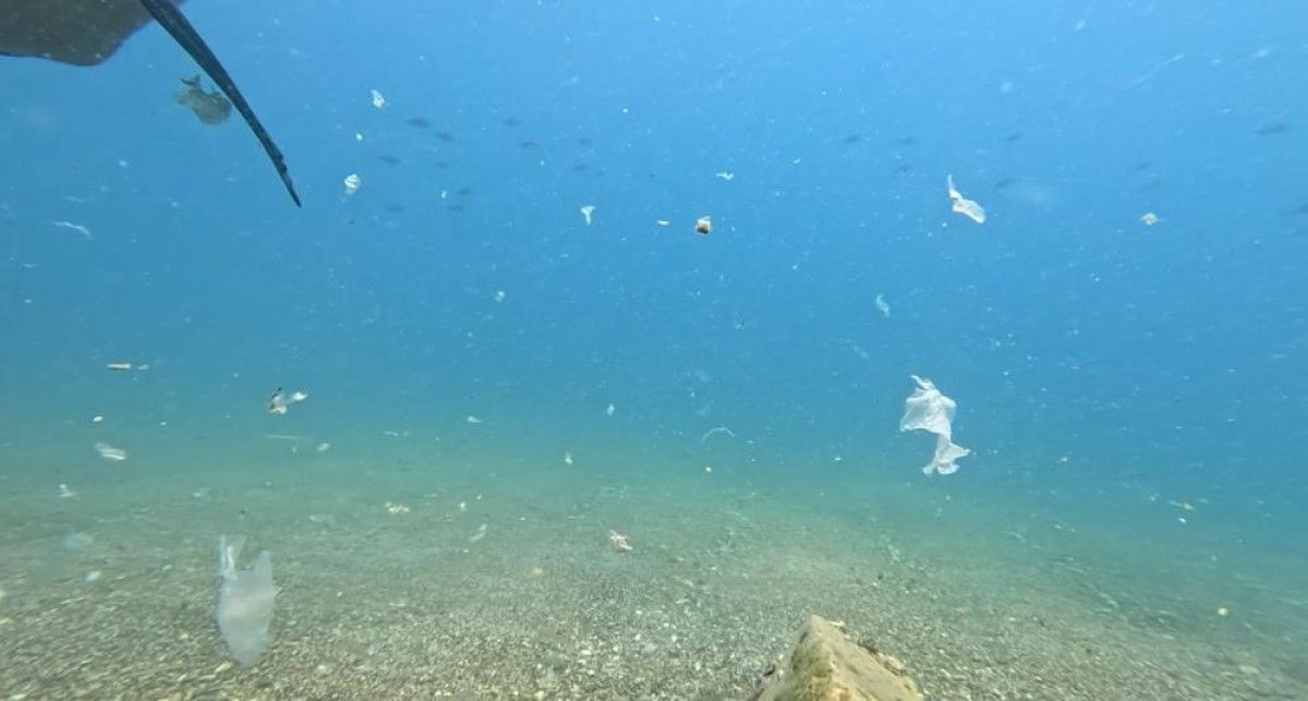antalya korfezinde cevre felaketi yakin kirlilik gozle gorulur hale geldi 4