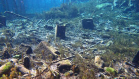 antalya korfezinde cevre felaketi yakin kirlilik gozle gorulur hale geldi g6H4NwNl