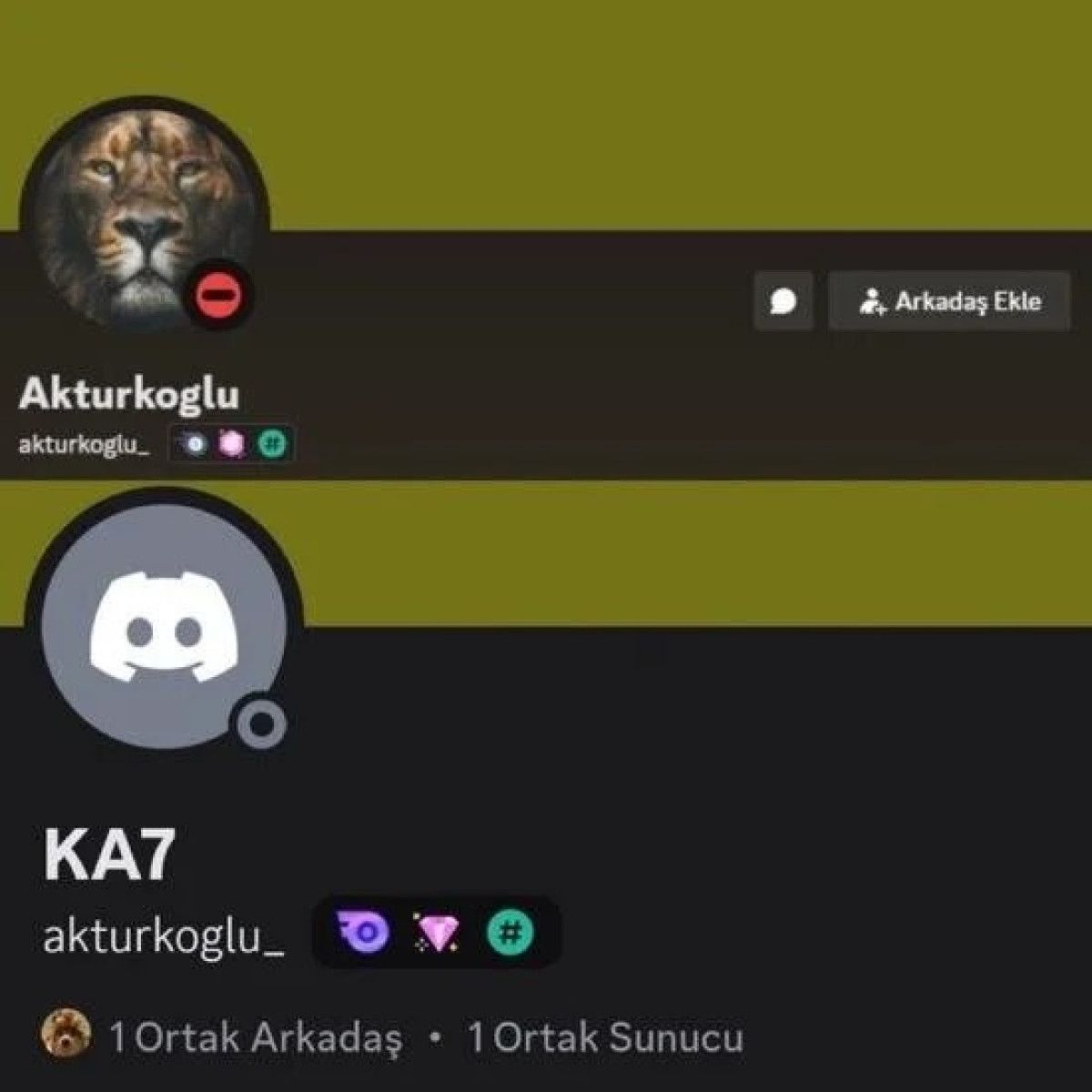 aslan temasini sildi kerem akturkoglundan sasirtan hamle 0 idQbZPWN