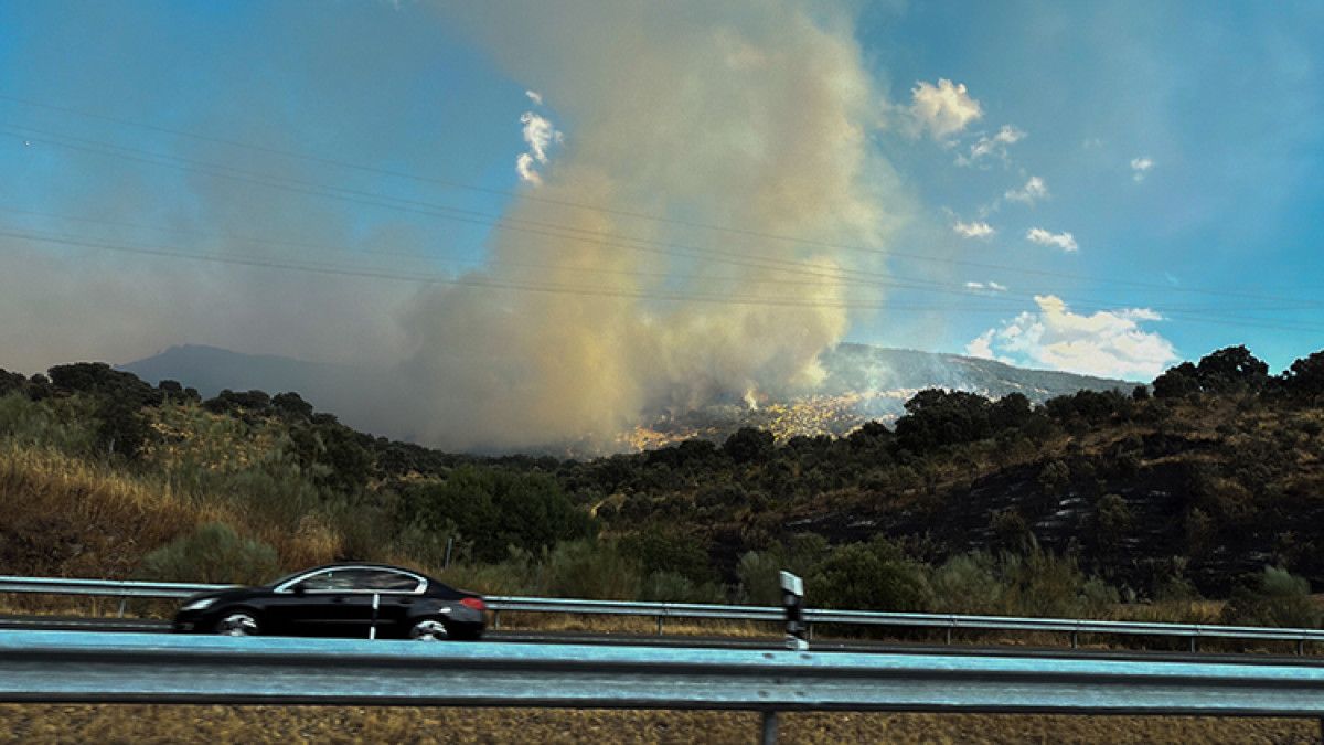 avrupada orman yanginlari ile mucadele ulkeler uluslararasi yardim talep ediyor 4