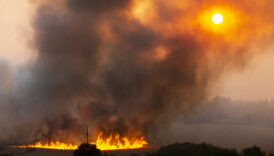 avrupada orman yanginlari ile mucadele ulkeler uluslararasi yardim talep ediyor GGxFMu9L