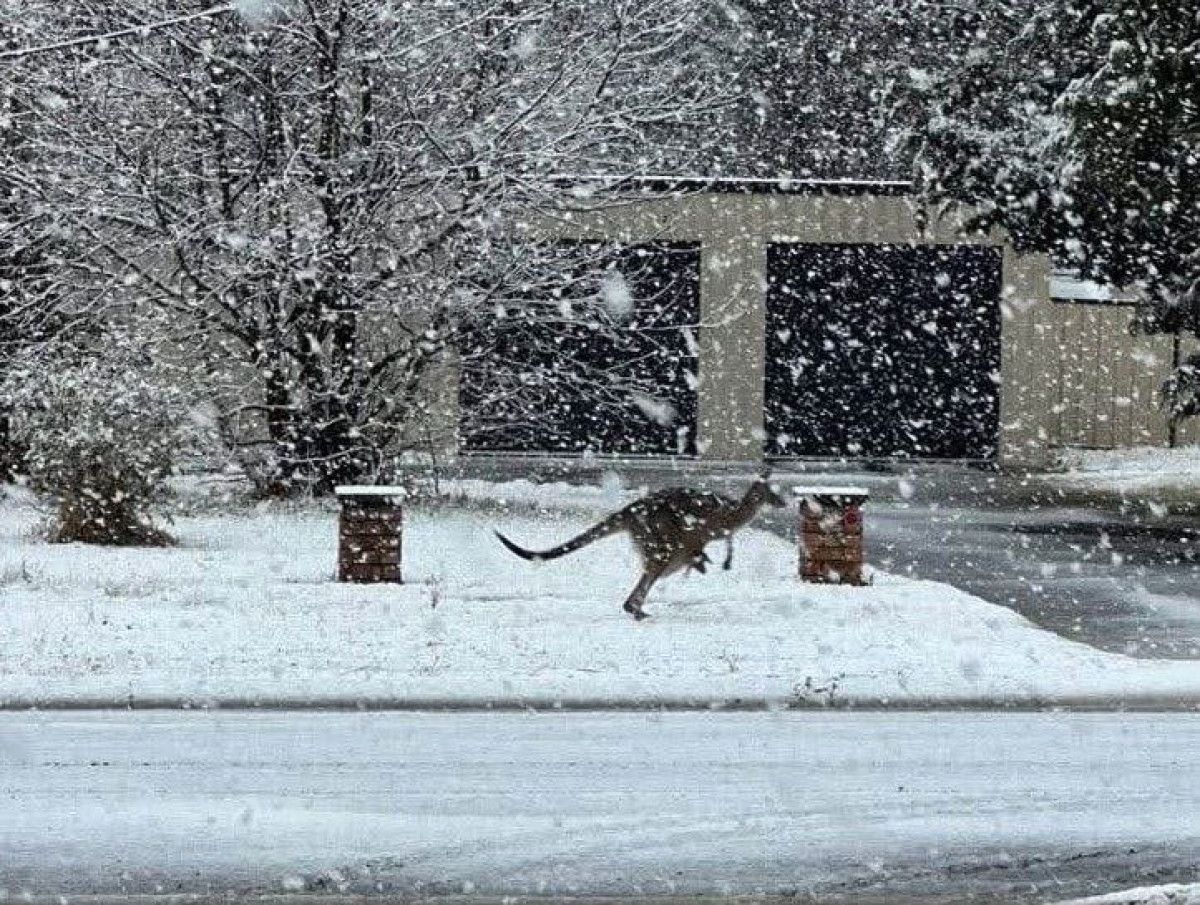 avustralya son 45 yilin en sert kisini yasiyor 1 tksELy3l