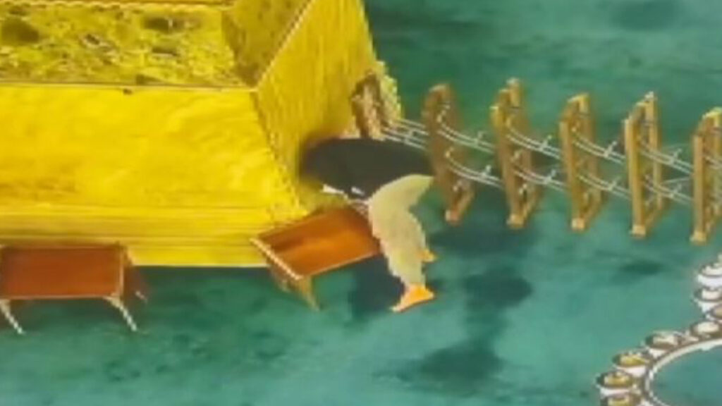 ayasofya camiini kundaklama girisiminde yeni detaylar ortaya cikti GqeOzsTR