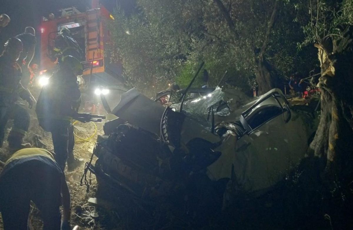 aydinda otomobil zeytin bahcesine uctu 2 olu 0 5Fd7pWhm