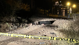 aydinda universite ogrencisi genc kiz basindan vurulmus halde bulundu iZkbhOdB