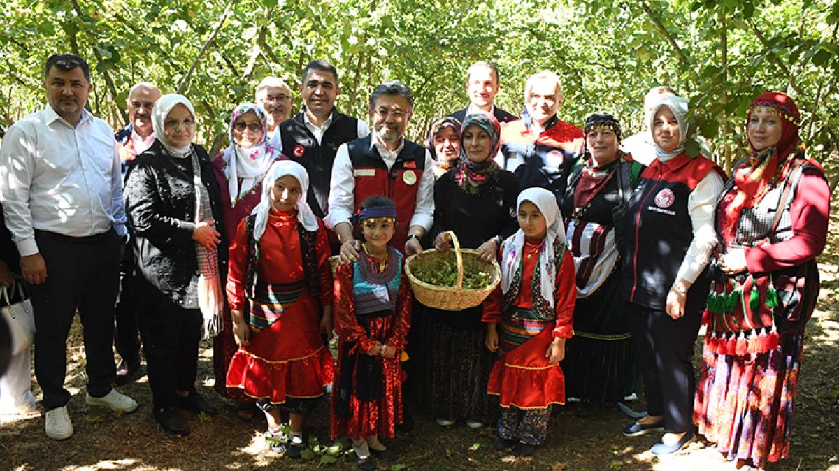 bakan yumakli findikta zirai don zarari icin 23 milyar lira tazminat odenecek 0 CaG8dsaD