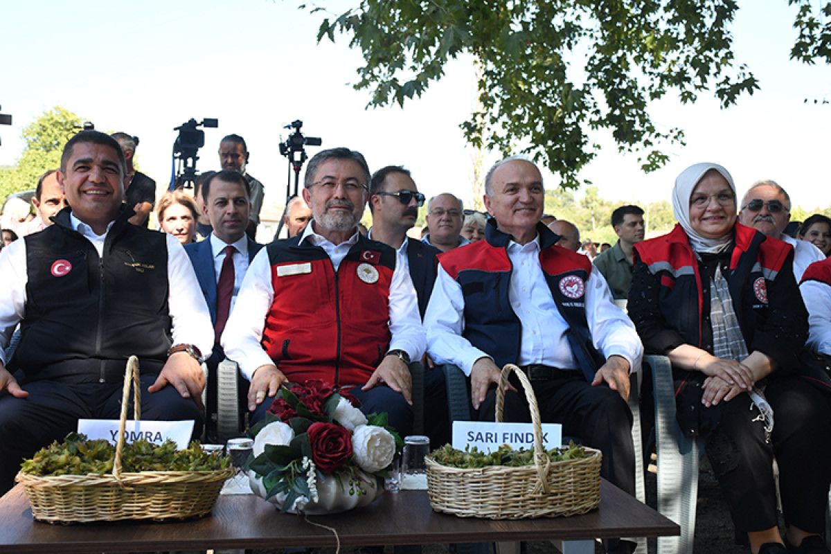 bakan yumakli findikta zirai don zarari icin 23 milyar lira tazminat odenecek 2 SzvrmcdR