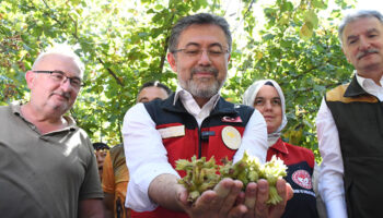 bakan yumakli findikta zirai don zarari icin 23 milyar lira tazminat odenecek lb5rP8WY