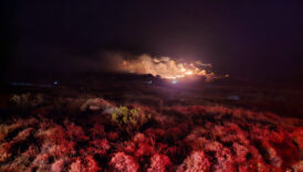 balikesirin marmara adasinda orman yangini sTvWIFYd