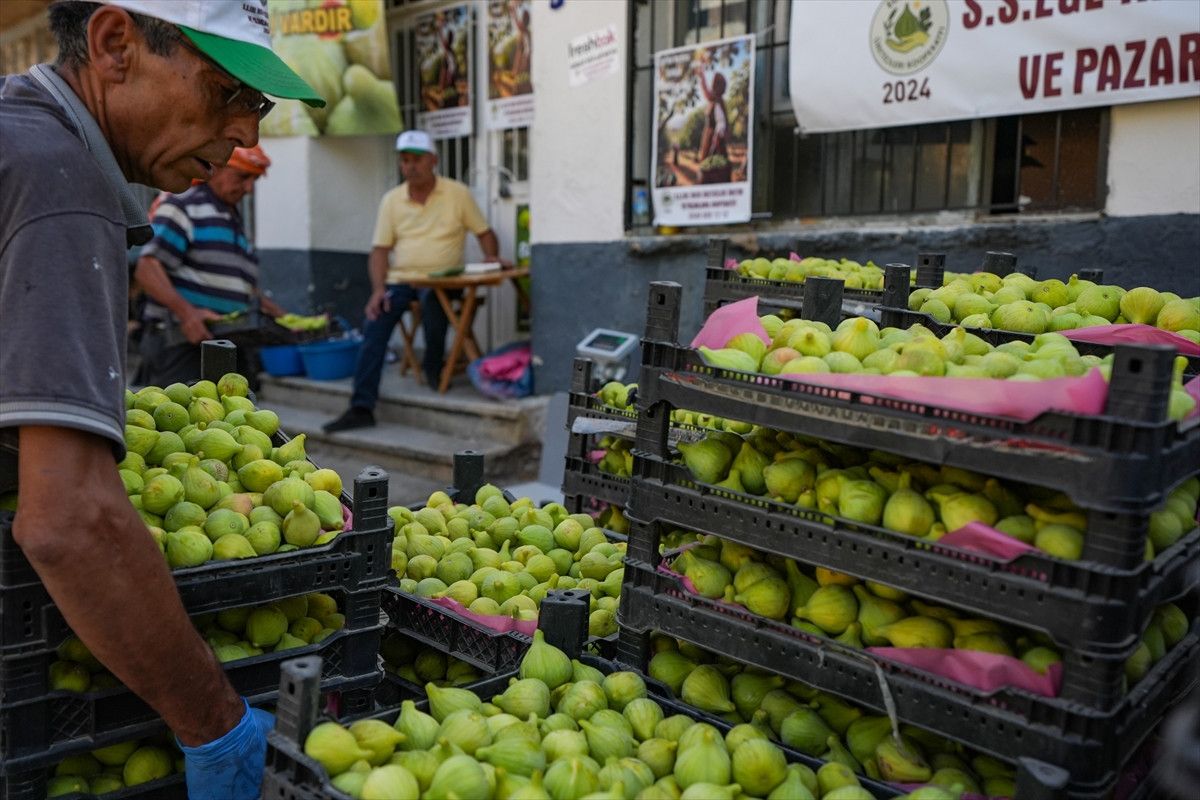 bardakcik inciri izmirli ciftcilerin kooperatif gucu ile deger buldu 6
